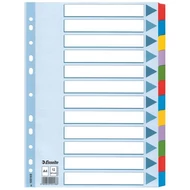 Regiszter, laminált karton, A4, 12 részes, ESSELTE "Mylar" Regiszter, laminált karton, A4, 12 részes, ESSELTE "Mylar"